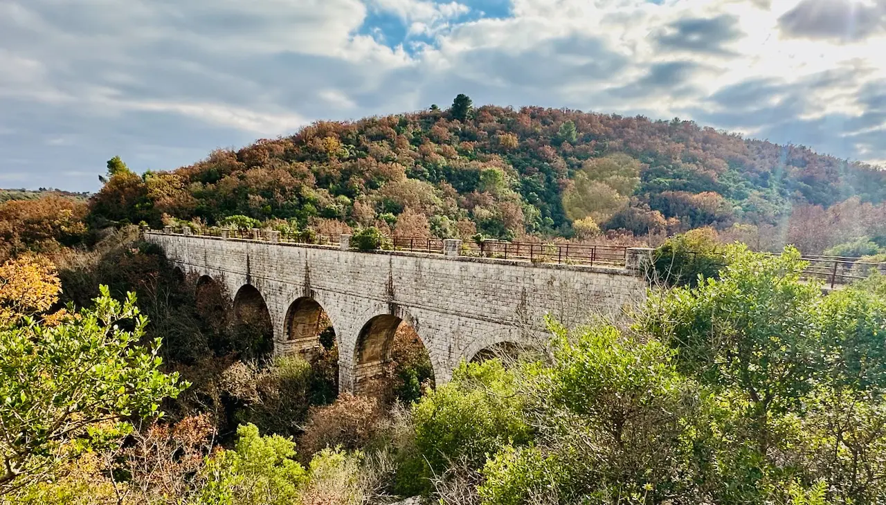 Experience Cover Image